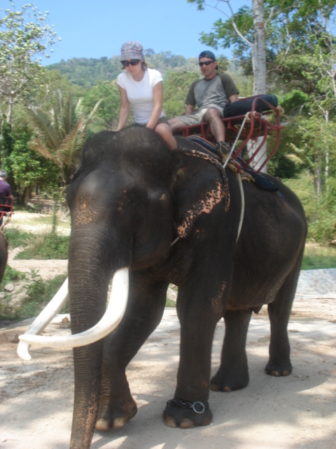 gal/2008 Thailand/DSC01790.JPG